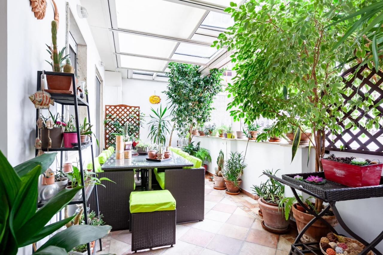Beatrice Apartment 马萨 外观 照片